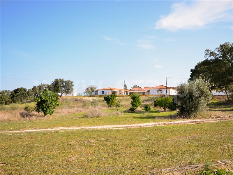 Herdade / Almeirim, Raposa