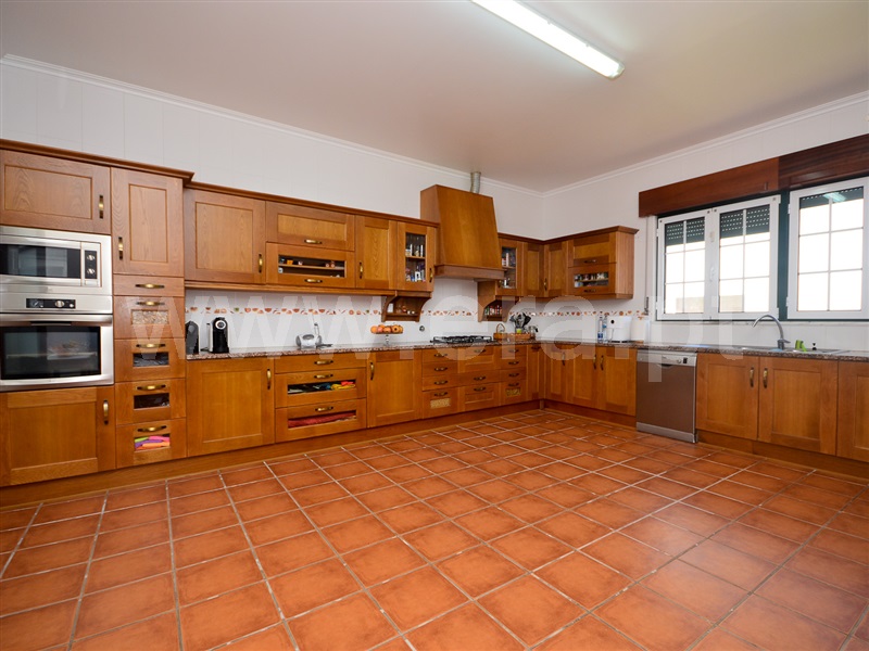 Herdade  Almeirim, Raposa - 1371552 - 15