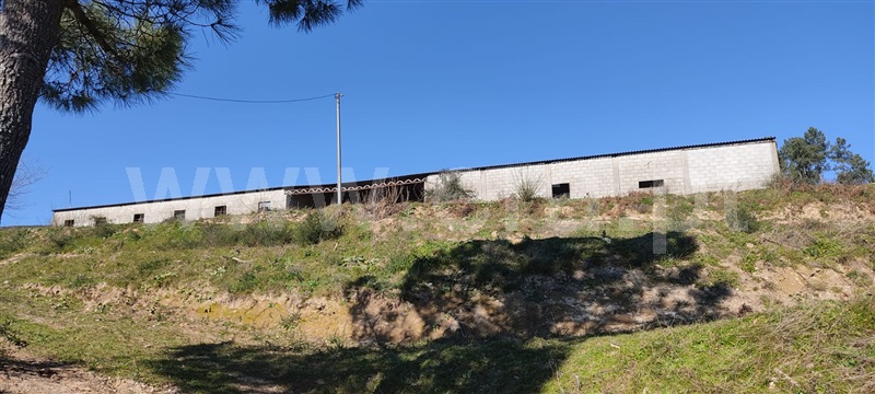 Herdade / Baião, Gestaçô