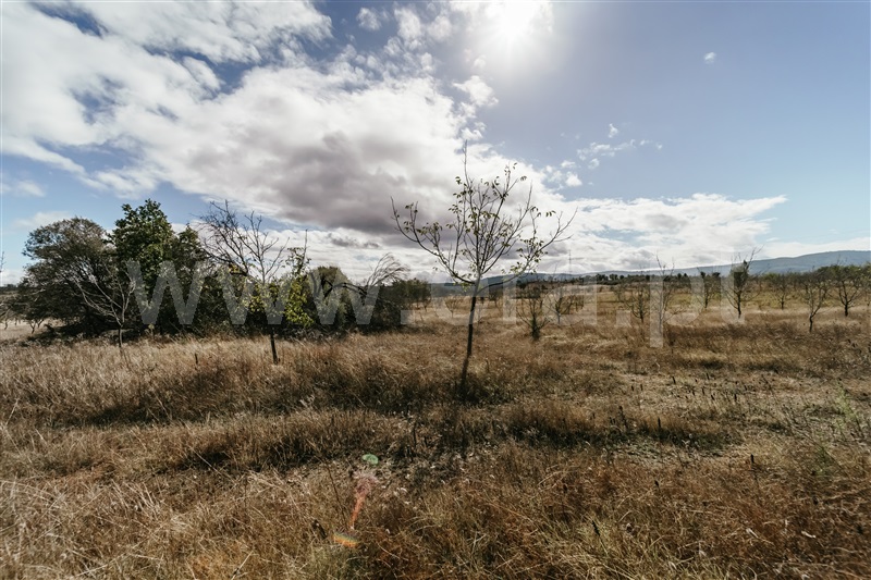 Herdade Estúdio / Fundão, Valverde