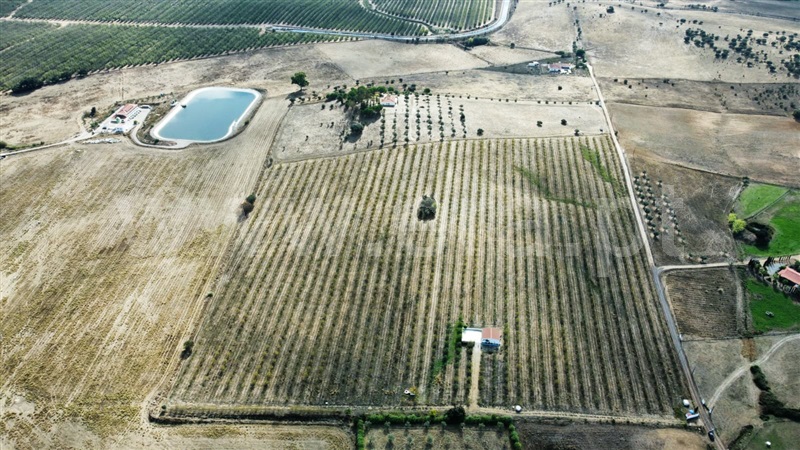 Herdade / Évora, S. Manços