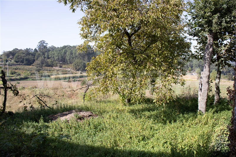Herdade  Fafe, Regadas - 1337077 - 2