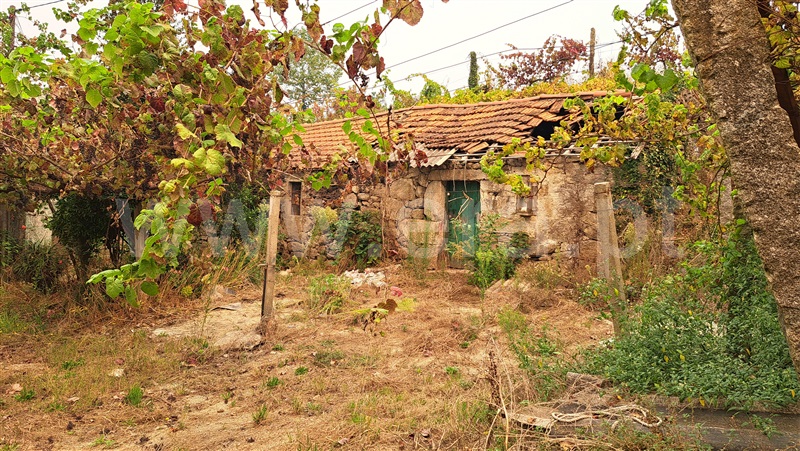 Herdade  Felgueiras, Aião - 1433001 - 1