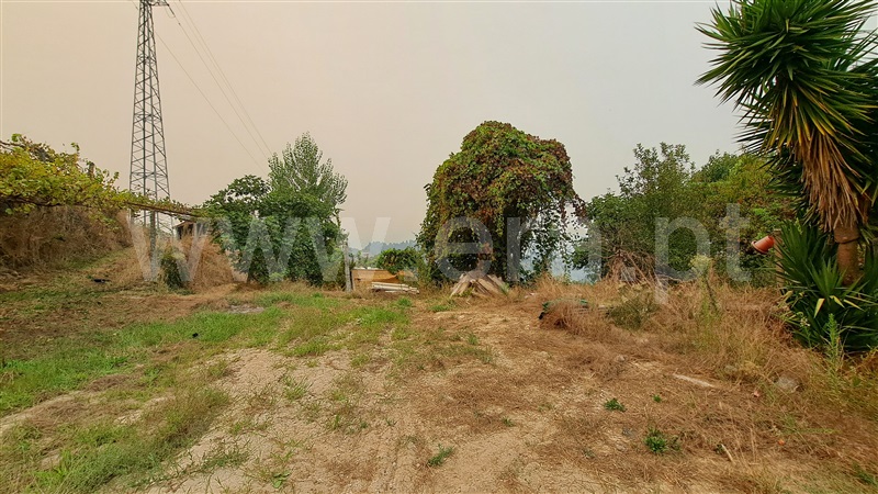 Herdade  Felgueiras, Aião - 1433001 - 2