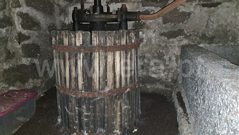 Herdade  Felgueiras, Aião - 1433001 - 6
