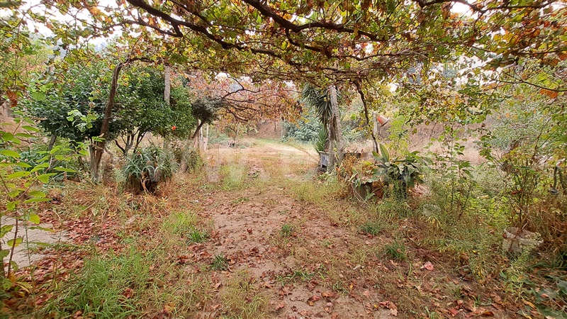 Herdade  Felgueiras, Aião - 1433001 - 8
