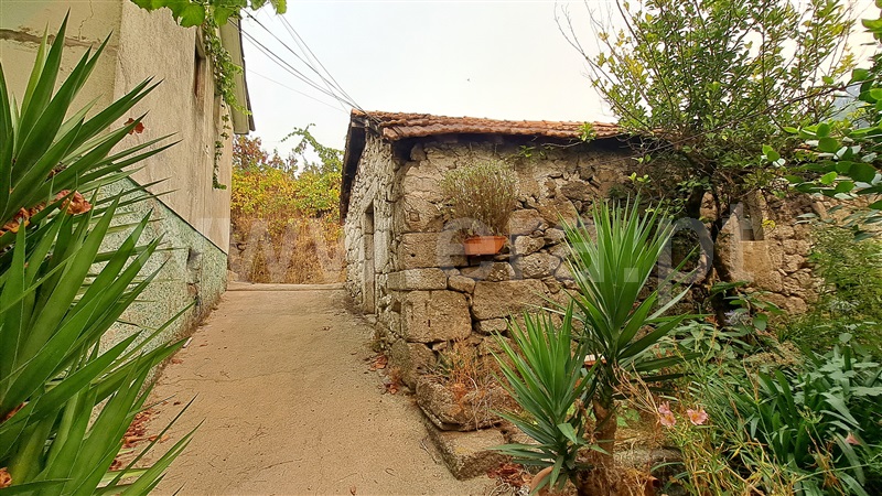 Herdade  Felgueiras, Aião - 1433001 - 9