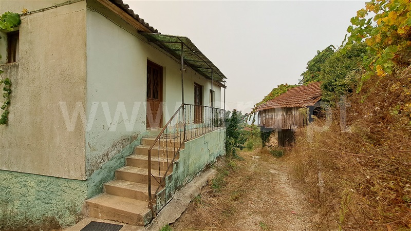 Herdade  Felgueiras, Aião - 1433001 - 10