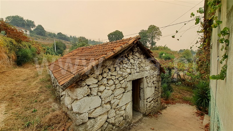 Herdade  Felgueiras, Aião - 1433001 - 13
