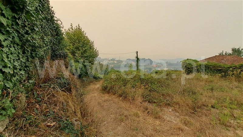 Herdade  Felgueiras, Aião - 1433001 - 15