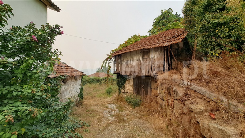 Herdade  Felgueiras, Aião - 1433001 - 17