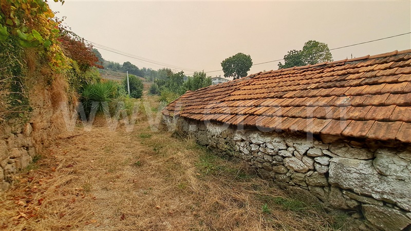 Herdade  Felgueiras, Aião - 1433001 - 18