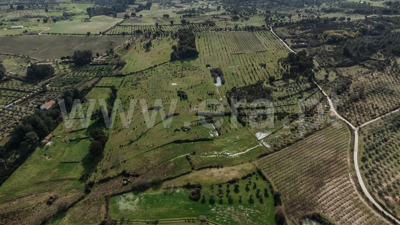 Herdade / Fundão, Atalaia do Campo
