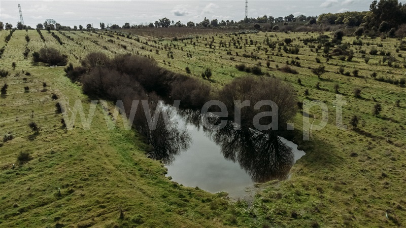 Herdade T4 Fundão, Atalaia do Campo - 1436132 - 17
