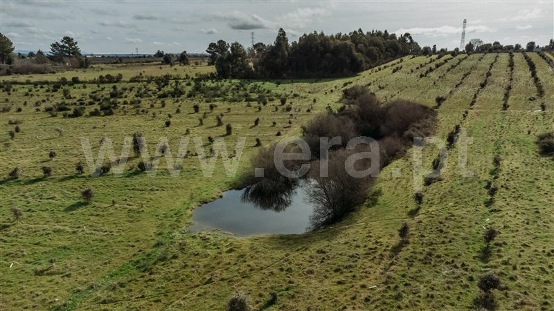 Herdade T4 Fundão, Atalaia do Campo - 1436132 - 18