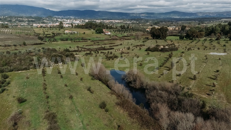Herdade T4 Fundão, Atalaia do Campo - 1436132 - 19