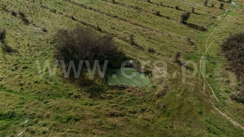Herdade T4 Fundão, Atalaia do Campo - 1436132 - 21