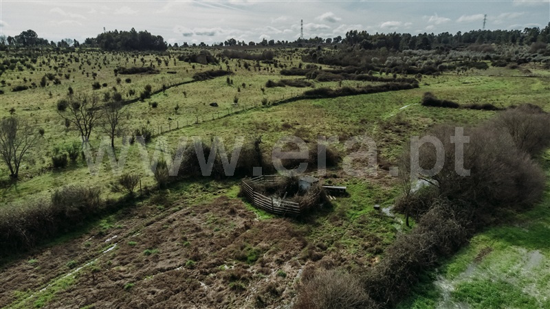 Herdade T4 Fundão, Atalaia do Campo - 1436132 - 23