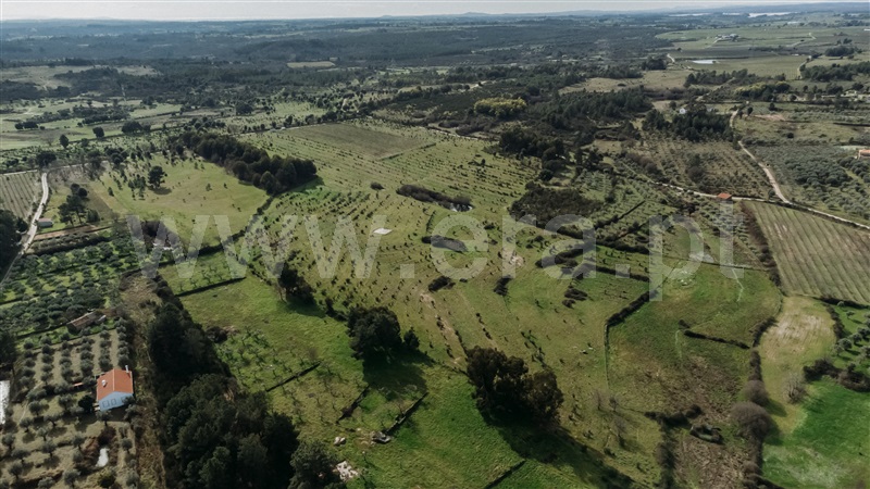 Herdade T4 Fundão, Atalaia do Campo - 1436132 - 24