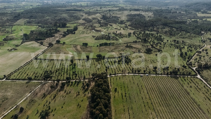 Herdade T4 Fundão, Atalaia do Campo - 1436132 - 26
