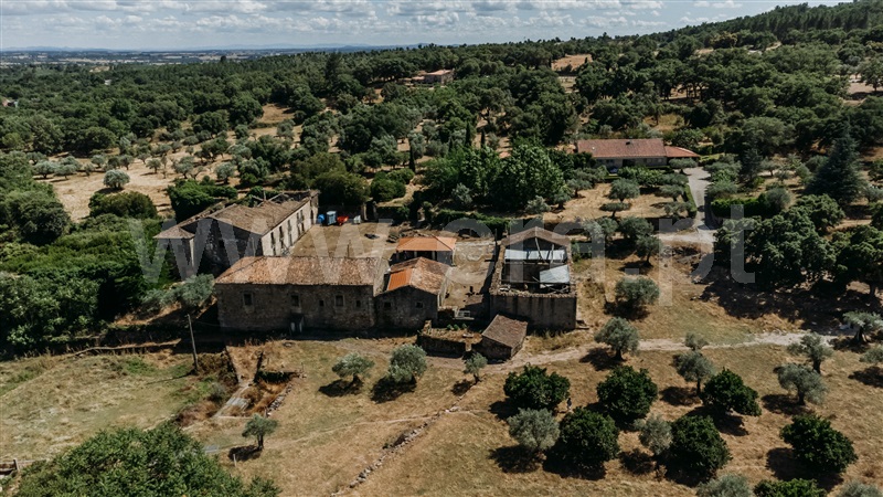 Herdade  Fundão, Castelo Novo - 1411985 - 3