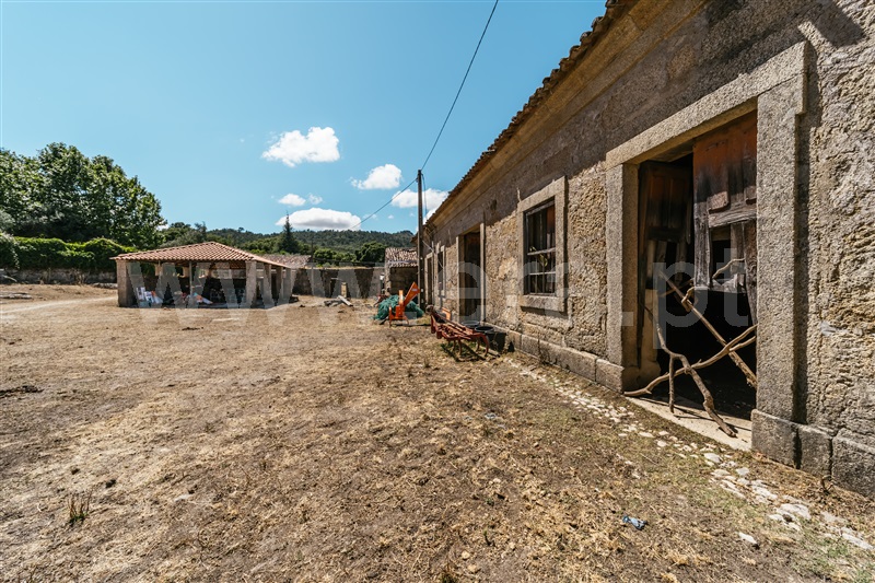 Herdade  Fundão, Castelo Novo - 1411985 - 15