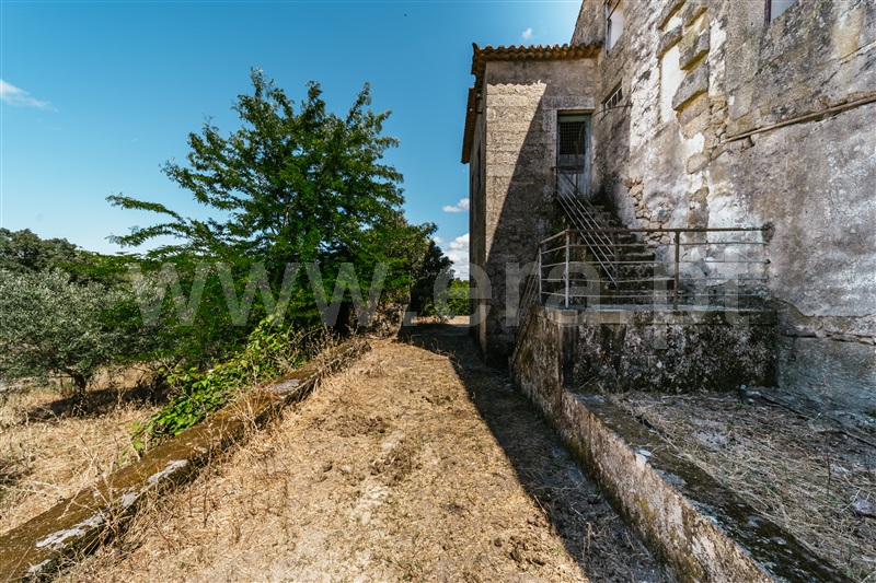 Herdade  Fundão, Castelo Novo - 1411985 - 16