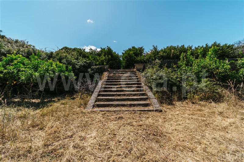Herdade  Fundão, Castelo Novo - 1411985 - 19