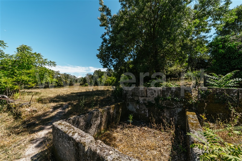 Herdade  Fundão, Castelo Novo - 1411985 - 20