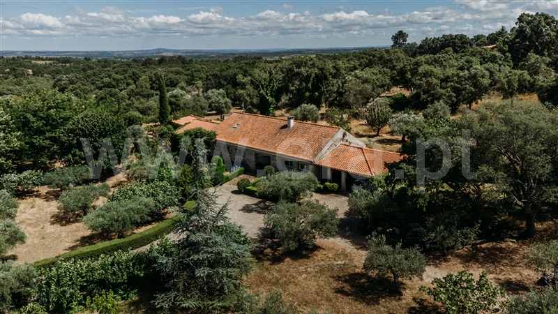 Herdade / Fundão, Castelo Novo