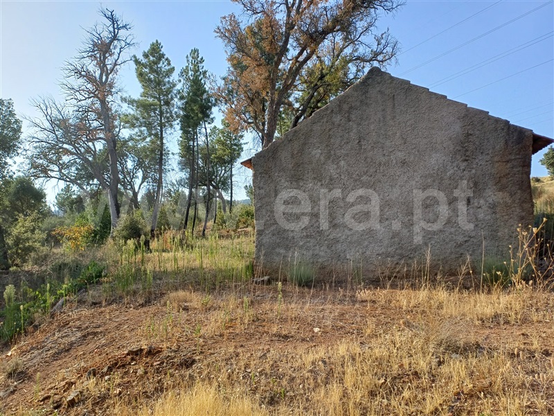 Herdade  Fundão, Pêro Viseu - 1503263 - 3