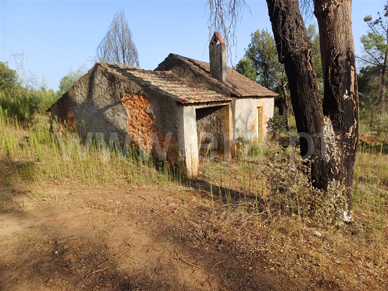 Herdade  Fundão, Pêro Viseu - 1503263 - 4