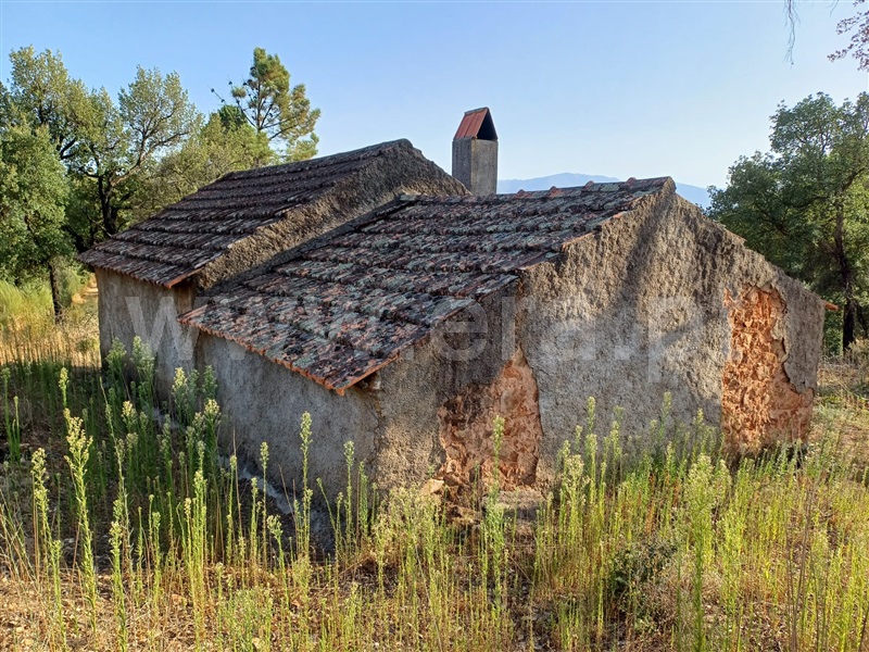 Herdade  Fundão, Pêro Viseu - 1503263 - 5