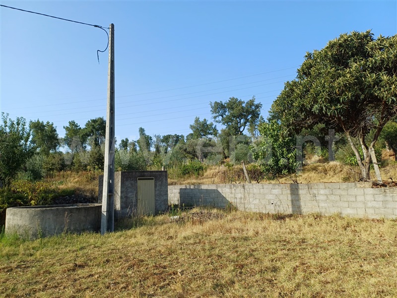 Herdade  Fundão, Pêro Viseu - 1503263 - 12