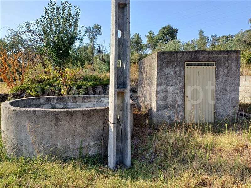 Herdade  Fundão, Pêro Viseu - 1503263 - 13