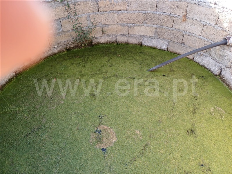 Herdade  Fundão, Pêro Viseu - 1503263 - 14