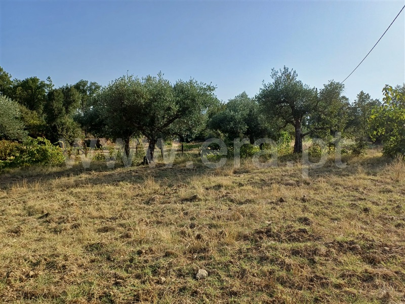 Herdade  Fundão, Pêro Viseu - 1503263 - 16