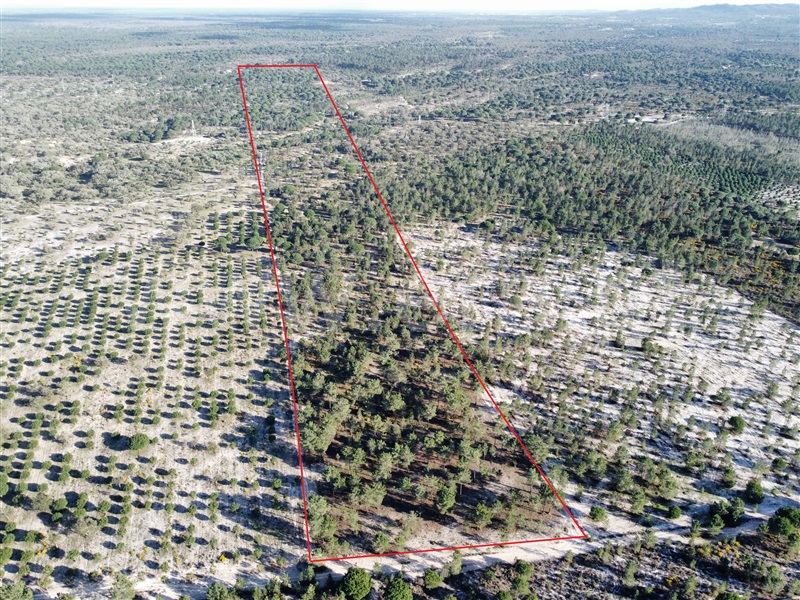 Herdade / Grândola, Grândola e Santa Margarida da Serra