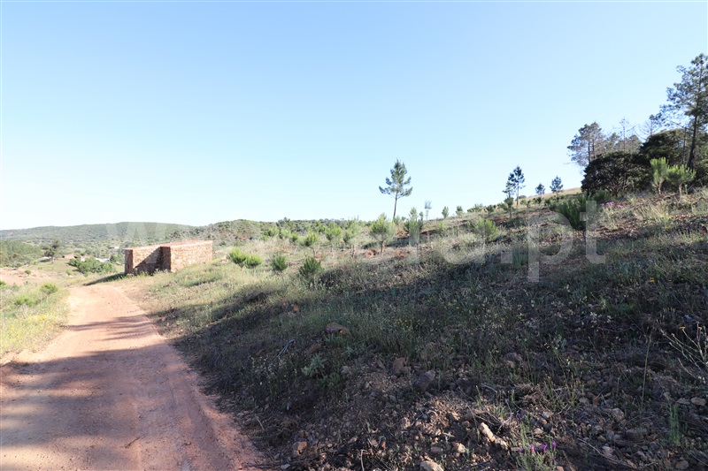 Herdade  Loulé, Querença, Tôr e Benafim - 1170366 - 4