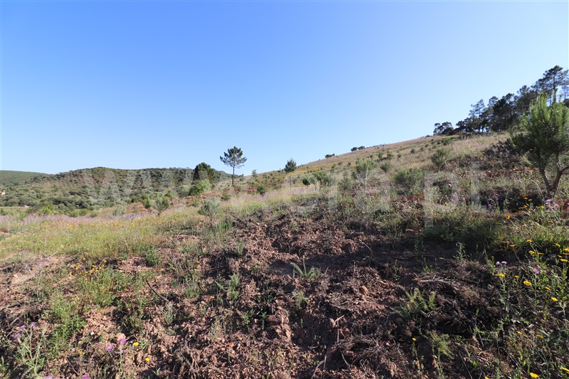 Herdade  Loulé, Querença, Tôr e Benafim - 1170366 - 9