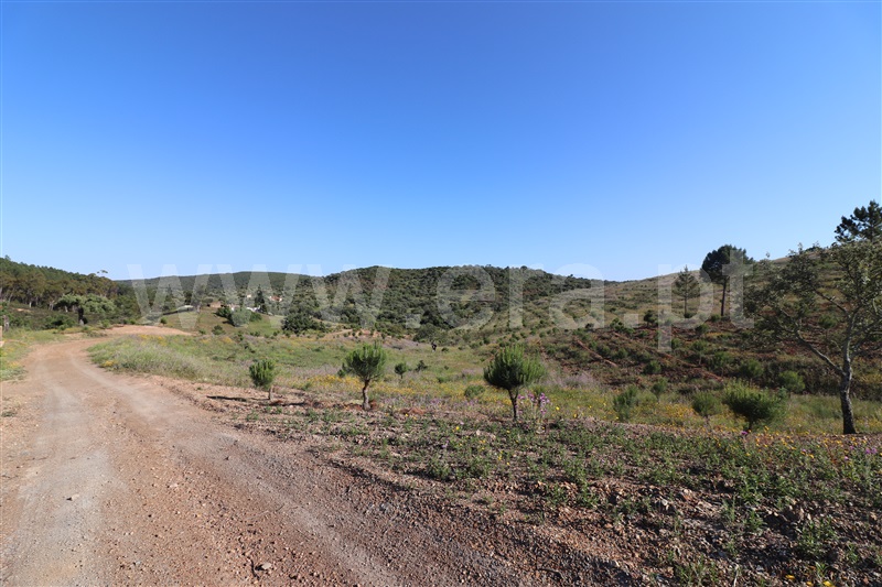 Herdade  Loulé, Querença, Tôr e Benafim - 1170366 - 10
