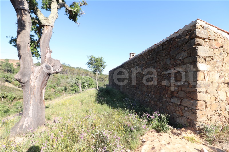 Herdade  Loulé, Querença, Tôr e Benafim - 1170366 - 13