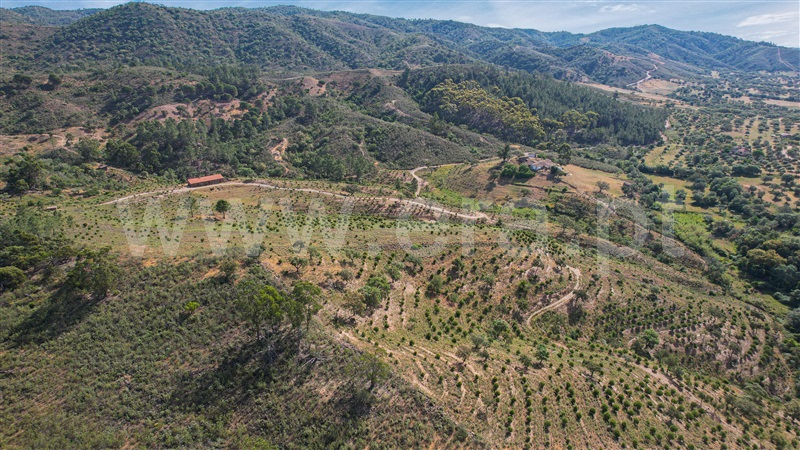 Herdade  Loulé, Querença, Tôr e Benafim - 1170366 - 27