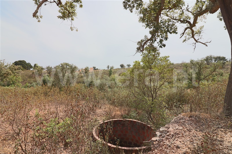 Herdade  Loulé, Salir - 1036510 - 3