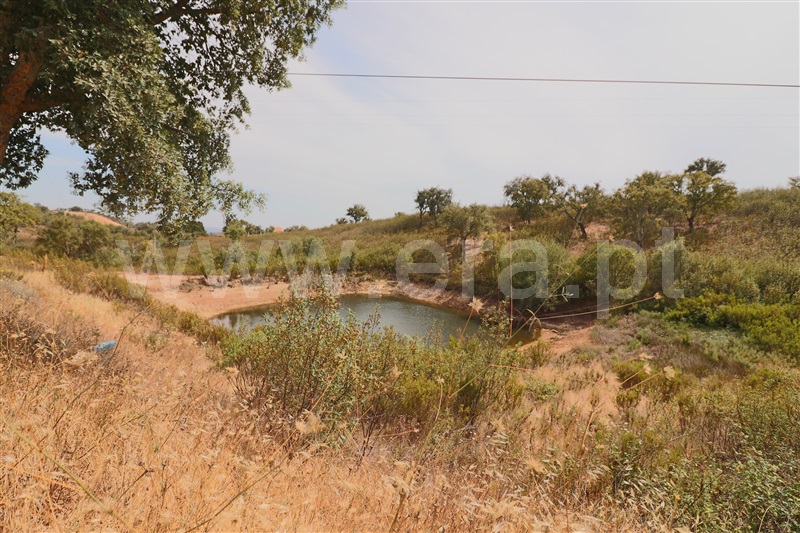 Herdade  Loulé, Salir - 1036510 - 4
