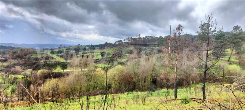 Herdade / Mangualde, Santiago de Cassurrães e Póvoa de Cervães
