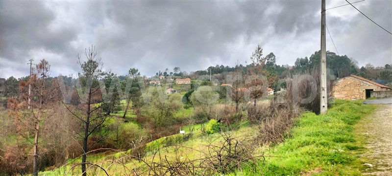 Herdade  Mangualde, Santiago de Cassurrães e Póvoa de Cervães - 1483433 - 2