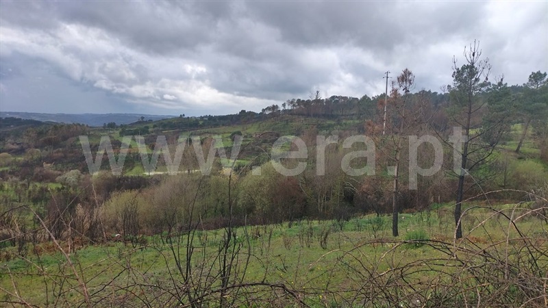 Herdade  Mangualde, Santiago de Cassurrães e Póvoa de Cervães - 1483433 - 3