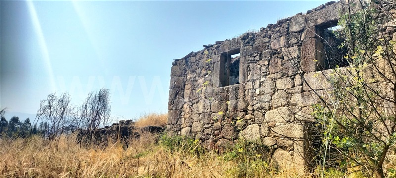 Herdade  Mangualde, Santiago de Cassurrães e Póvoa de Cervães - 1483433 - 18