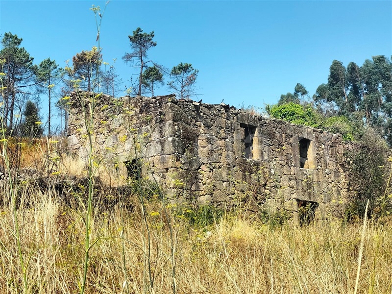 Herdade  Mangualde, Santiago de Cassurrães e Póvoa de Cervães - 1483433 - 26